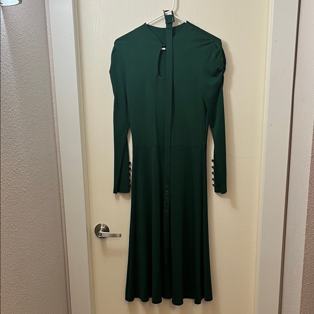 Voodoo Vixen Dark Green Long Sleeve Dress